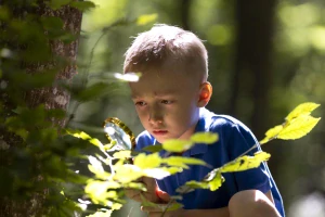 Přírodovědný a myslivecký kroužek